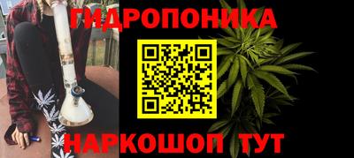 прущие крисы Аргун